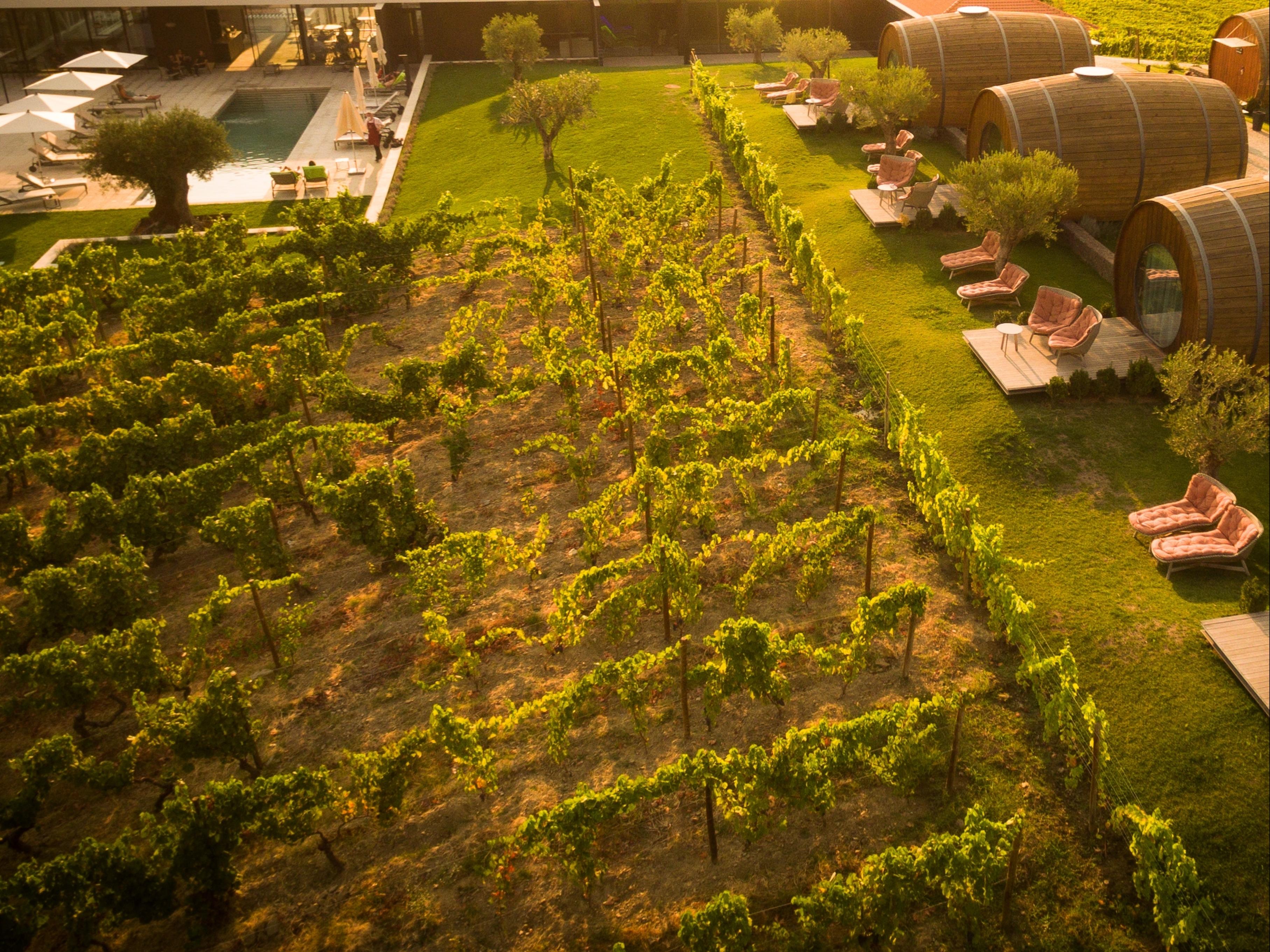 The Wine House Hotel - Quinta Da Pacheca Lamego Eksteriør bilde