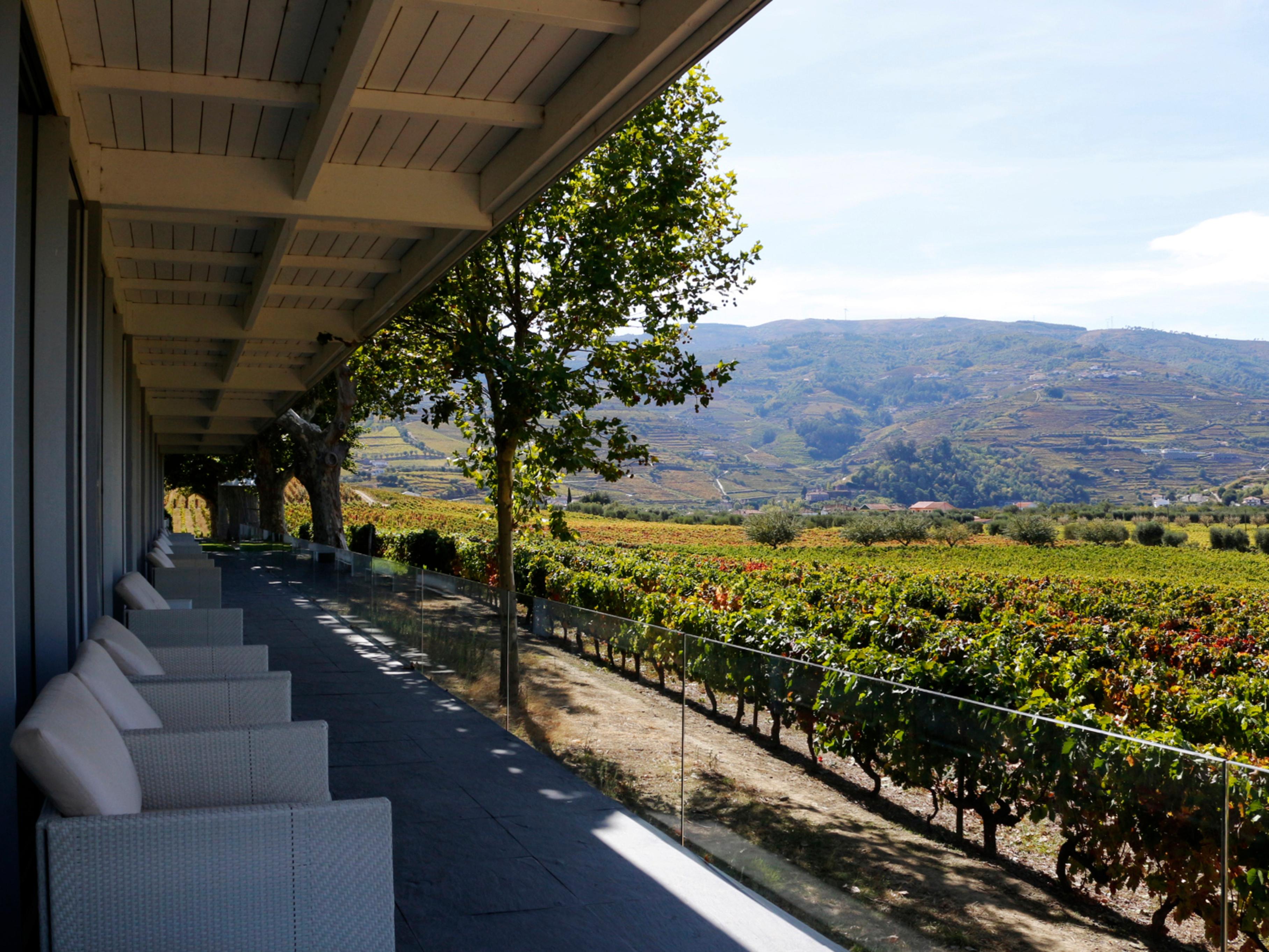 The Wine House Hotel - Quinta Da Pacheca Lamego Eksteriør bilde