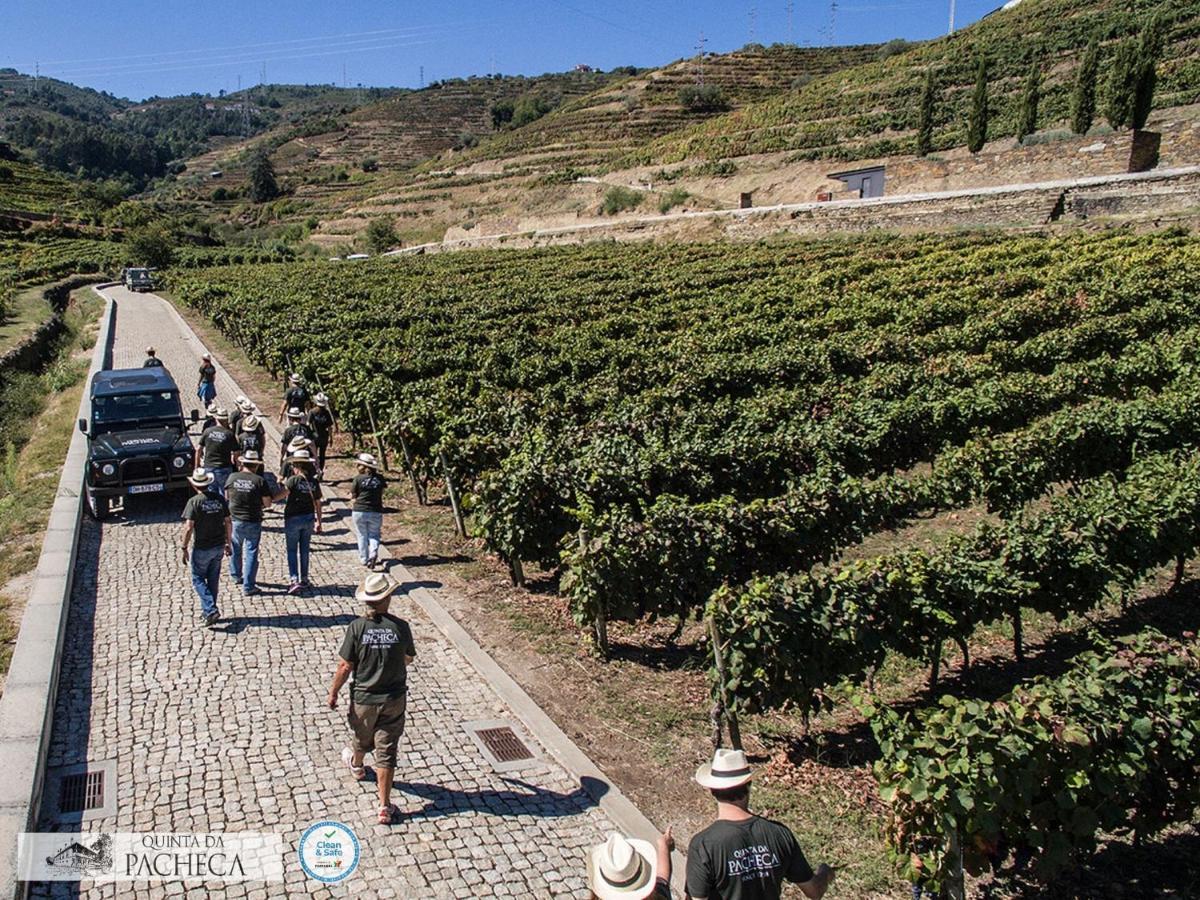 The Wine House Hotel - Quinta Da Pacheca Lamego Eksteriør bilde